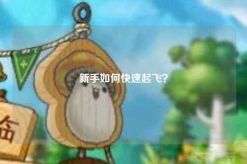 新手如何快速起飛？