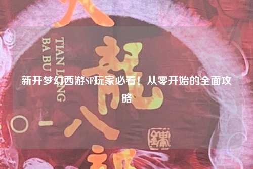 新開夢幻西游SF玩家必看！從零開始的全面攻略
