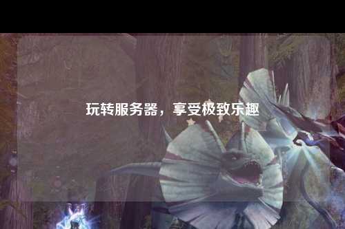 玩轉(zhuǎn)服務(wù)器，享受極致樂趣
