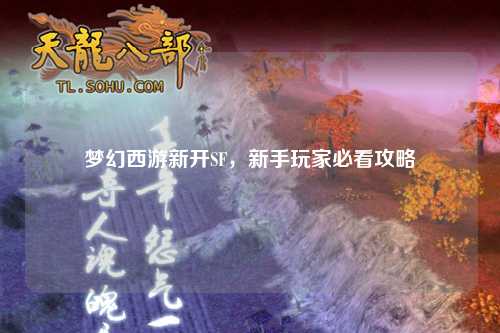 夢(mèng)幻西游新開(kāi)SF，新手玩家必看攻略
