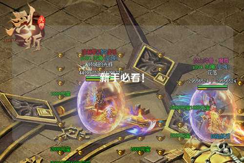 新手必看！